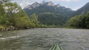 IMG-20210728-WA0018